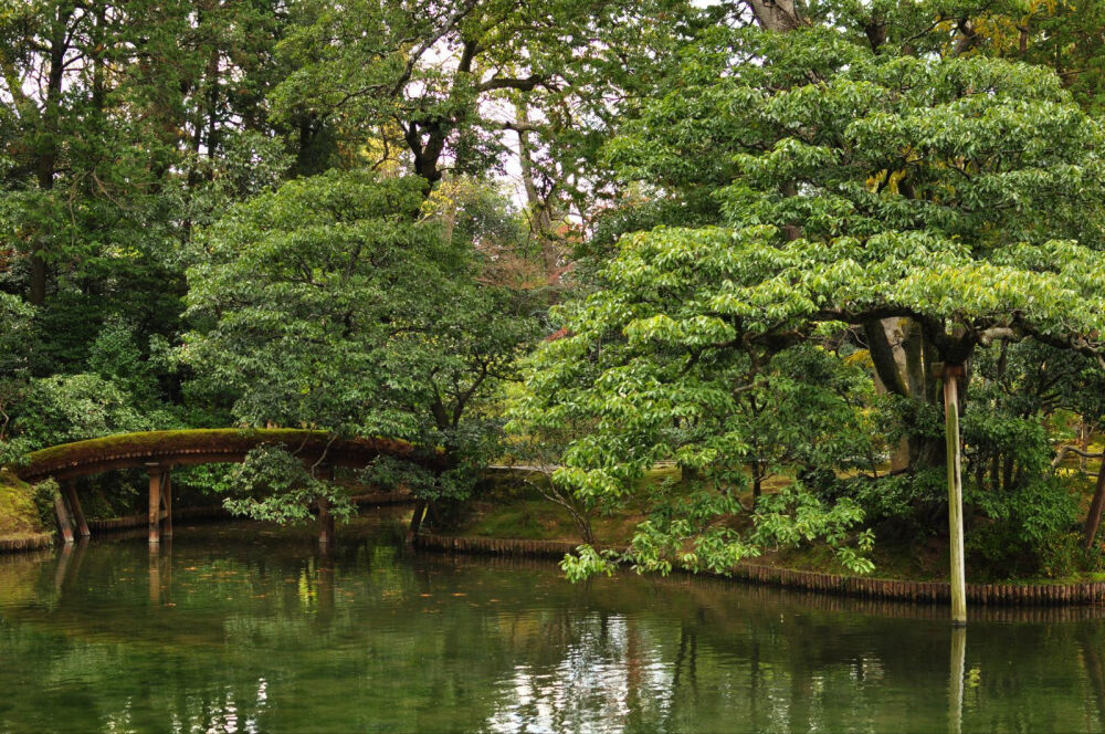 庭院