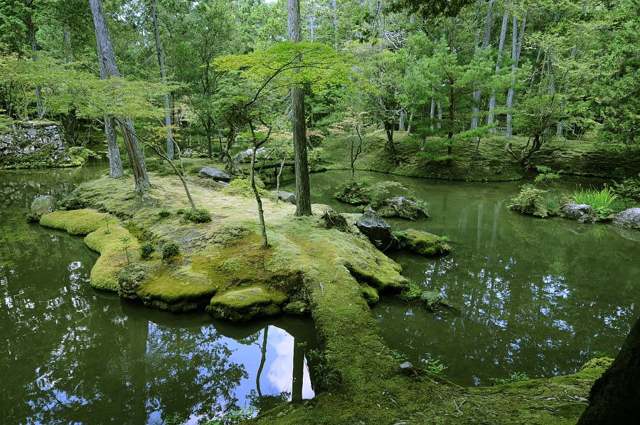 庭院