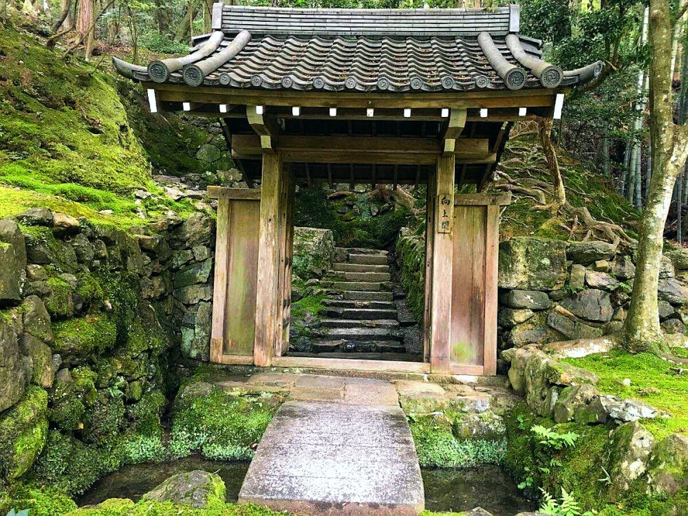 庭院