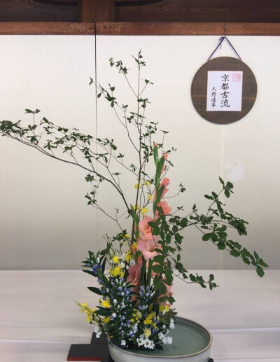 一日一花