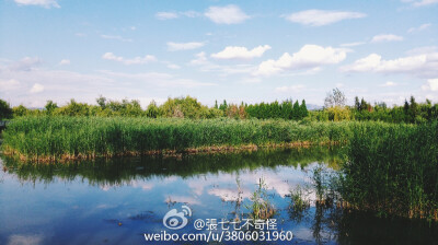 夏天最后一阵风