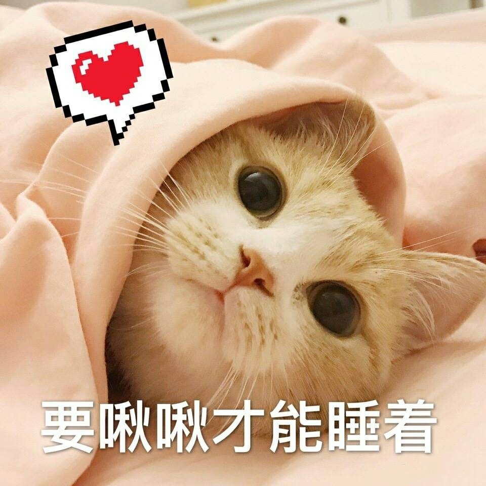 萌猫表情包