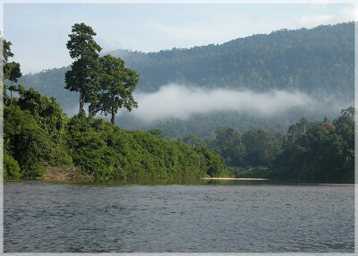 Malaysia National Parks, Johor, Endau Rompin
兴楼云冰国家公园, 柔佛州属, 马来西亚