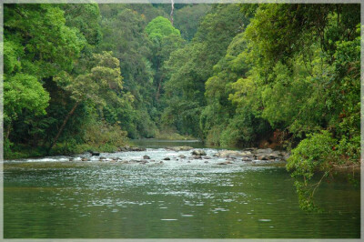 Malaysia National Parks, Johor, Endau Rompin
兴楼云冰国家公园, 柔佛州属, 马来西亚