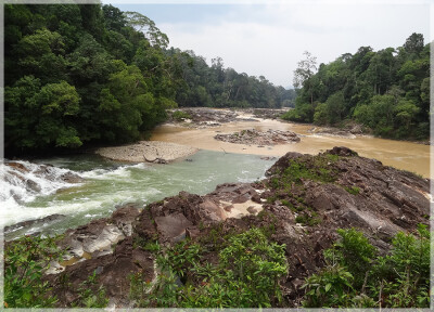 Malaysia National Parks, Johor, Endau Rompin
兴楼云冰国家公园, 柔佛州属, 马来西亚