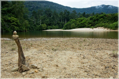 Malaysia National Parks, Johor, Endau Rompin
兴楼云冰国家公园, 柔佛州属, 马来西亚