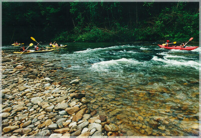 Malaysia National Parks, Johor, Endau Rompin
兴楼云冰国家公园, 柔佛州属, 马来西亚