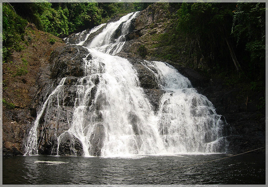 Malaysia National Parks, Johor, Endau Rompin
兴楼云冰国家公园, 柔佛州属, 马来西亚