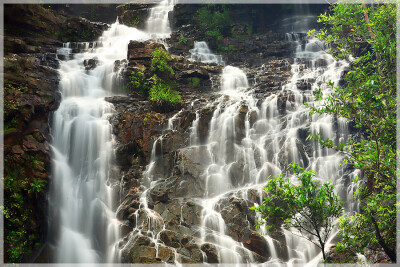 Malaysia National Parks, Johor, Endau Rompin
兴楼云冰国家公园, 柔佛州属, 马来西亚