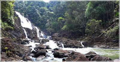 Malaysia National Parks, Johor, Endau Rompin
兴楼云冰国家公园, 柔佛州属, 马来西亚