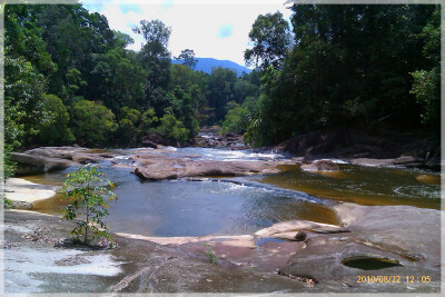 Malaysia National Parks, Johor, Endau Rompin
兴楼云冰国家公园, 柔佛州属, 马来西亚