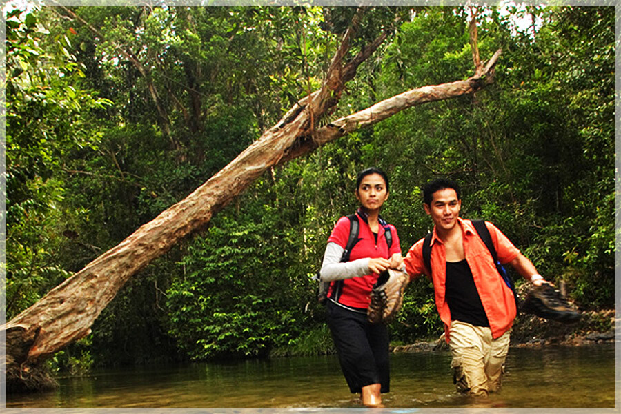 Malaysia National Parks, Johor, Endau Rompin
兴楼云冰国家公园, 柔佛州属, 马来西亚