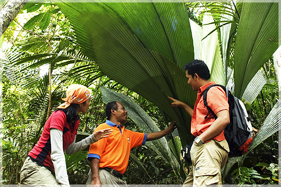 Malaysia National Parks, Johor, Endau Rompin
兴楼云冰国家公园, 柔佛州属, 马来西亚