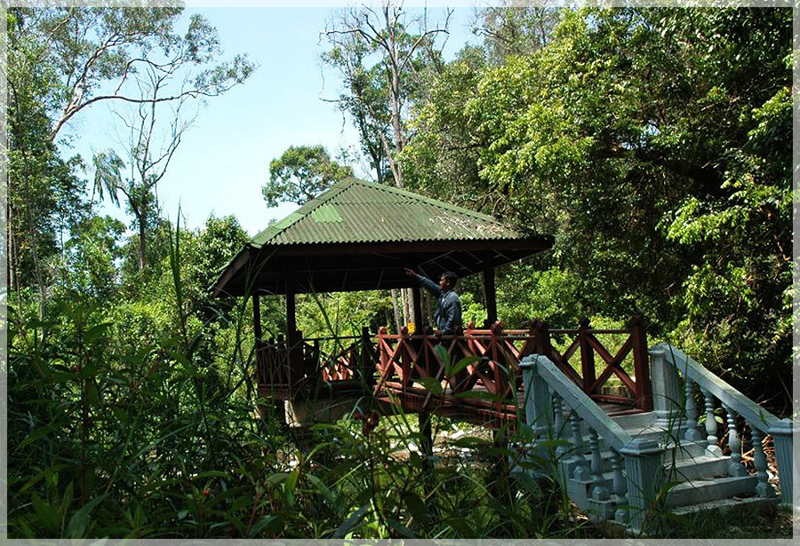 Malaysia National Parks, Johor, Endau Rompin
兴楼云冰国家公园, 柔佛州属, 马来西亚