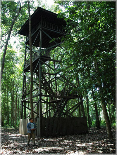 Malaysia National Parks, Johor, Endau Rompin
兴楼云冰国家公园, 柔佛州属, 马来西亚