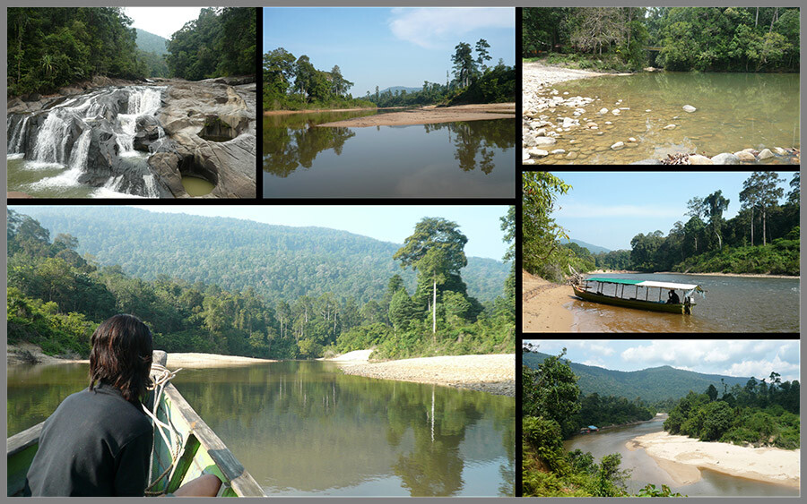 Malaysia National Parks, Johor, Endau Rompin
兴楼云冰国家公园, 柔佛州属, 马来西亚