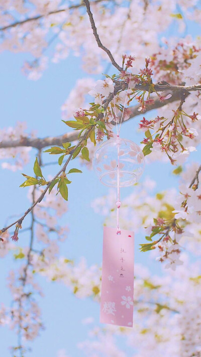 粉色，樱花，日式风铃