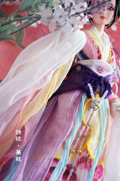 【合作成品娃】诗经 蒹葭 完售展示