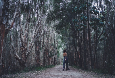 探访森林，误扰了林中主人的清静。Photo by @姚小春天 @澳大利亚黄金海岸旅游局 ​​​​