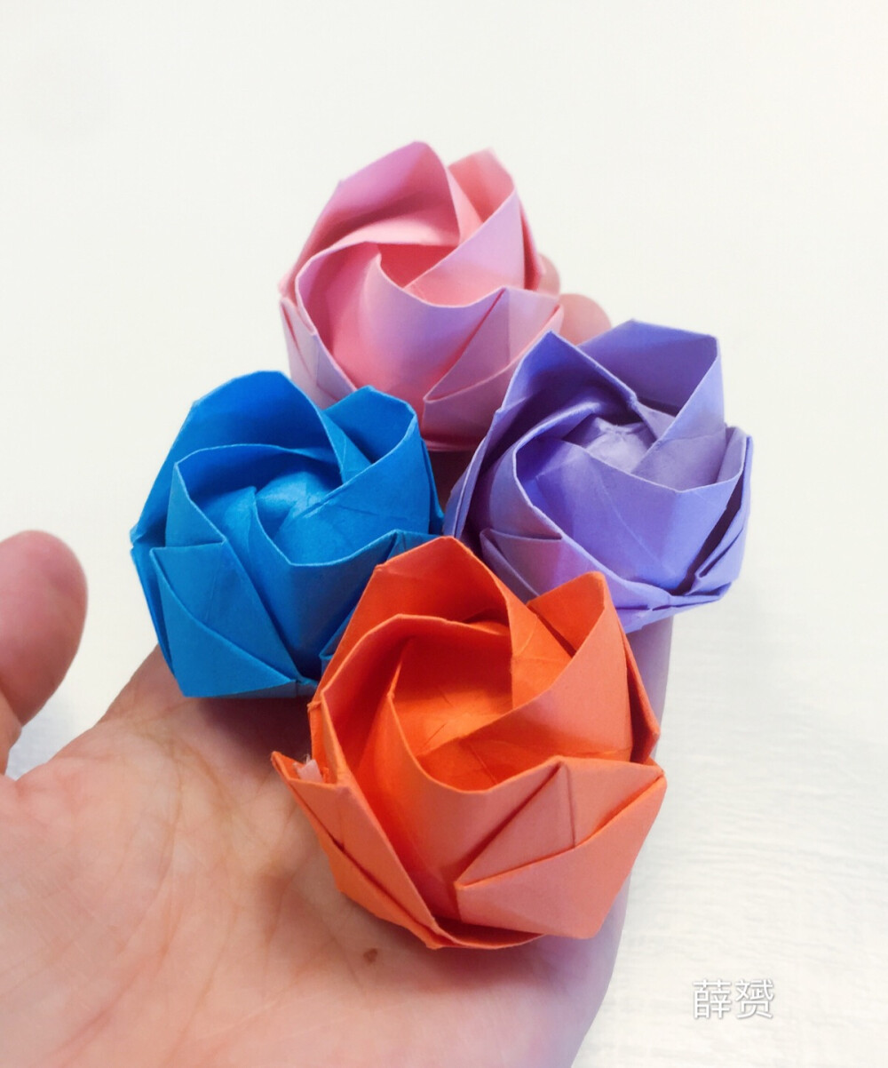 我折得川崎玫瑰