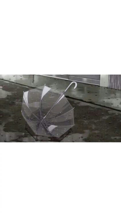 雨伞