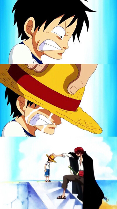 海賊王 ONE PIECE ワンピース MONKEY·D·LUFFY