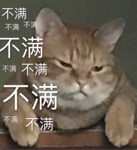 猫
动物表情包