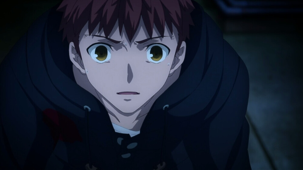 fatestaynight卫宫士郎