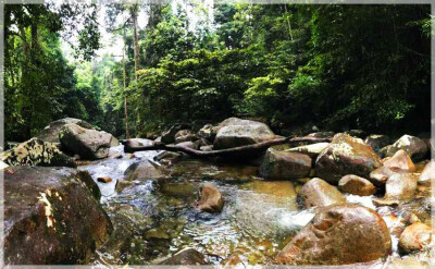 Malaysia National Parks, Sarawak, Gunung Gading
加丁山国家公园, 砂拉越州属, 马来西亚