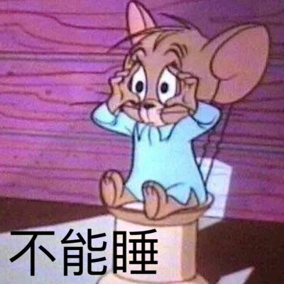 猫和老鼠