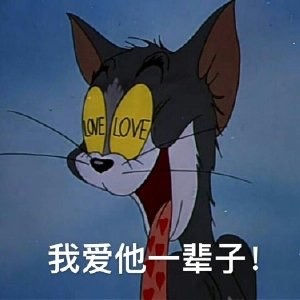 猫和老鼠