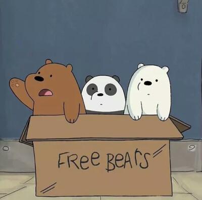 Grizzly、Panda、Ice Bear