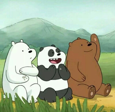 Ice Bear、Panda、Grizzly