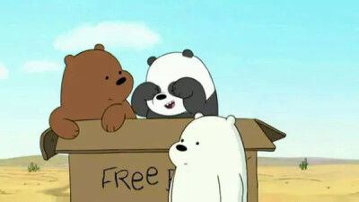 Grizzly、Panda、Ice Bear