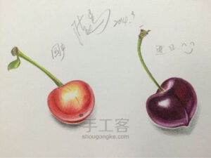 彩铅手绘