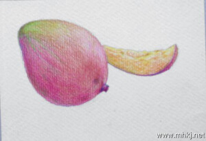 彩铅水果――芒果
作者：画画的阿六头