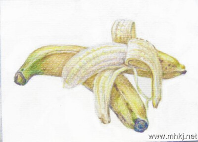 彩铅水果――香蕉
作者：画画的阿六头