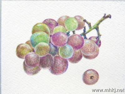 彩铅水果――葡萄
作者：画画的阿六头