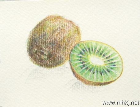 彩铅水果――猕猴桃
作者：画画的阿六头
