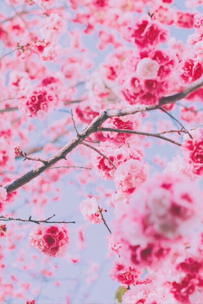 摄影后期：小之喵