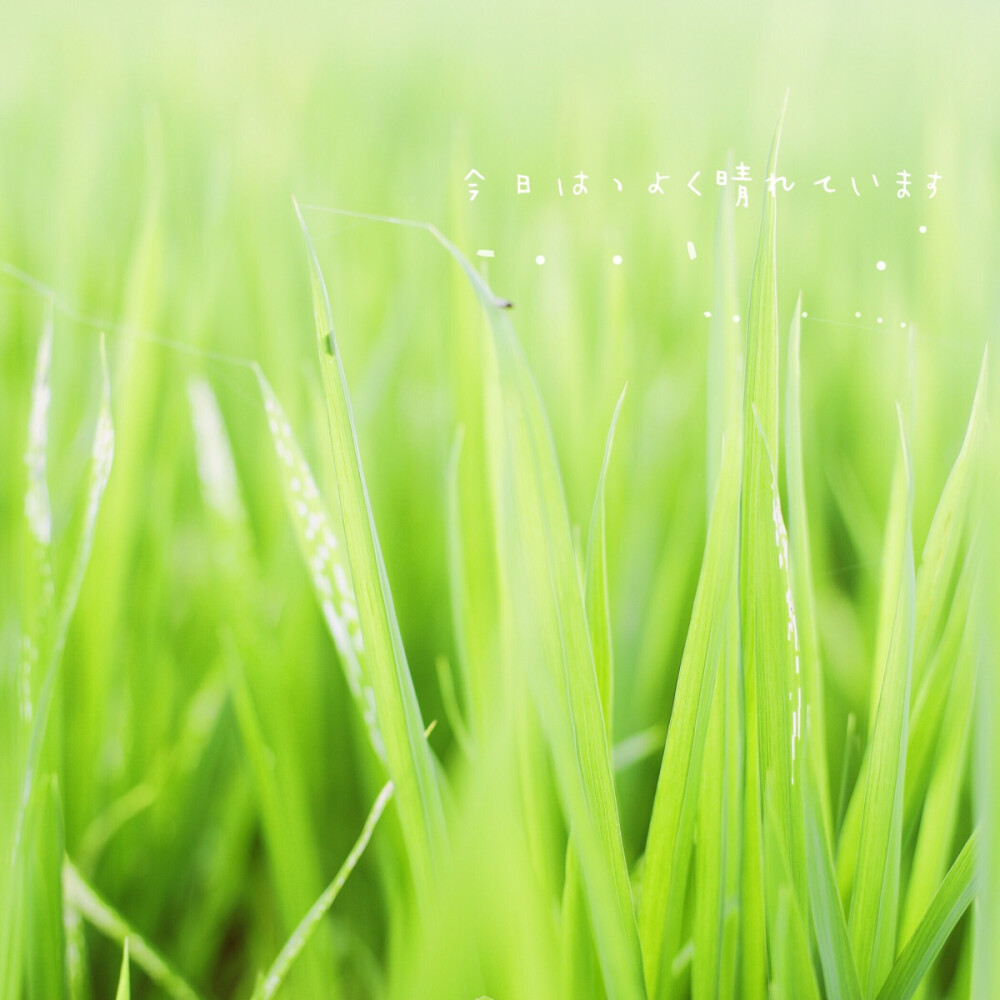 摄影后期：小之喵