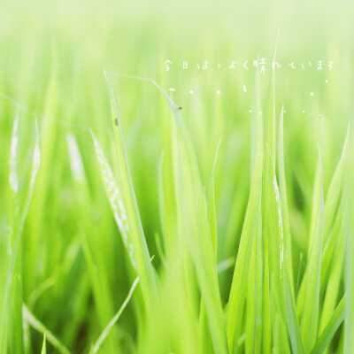 摄影后期：小之喵