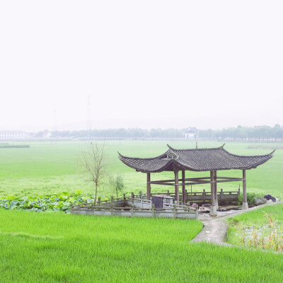 摄影后期：小之喵