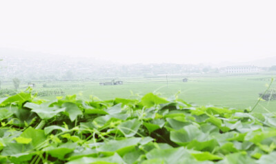 摄影后期：小之喵