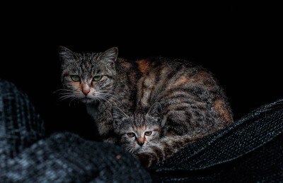 摄影后期：小之喵