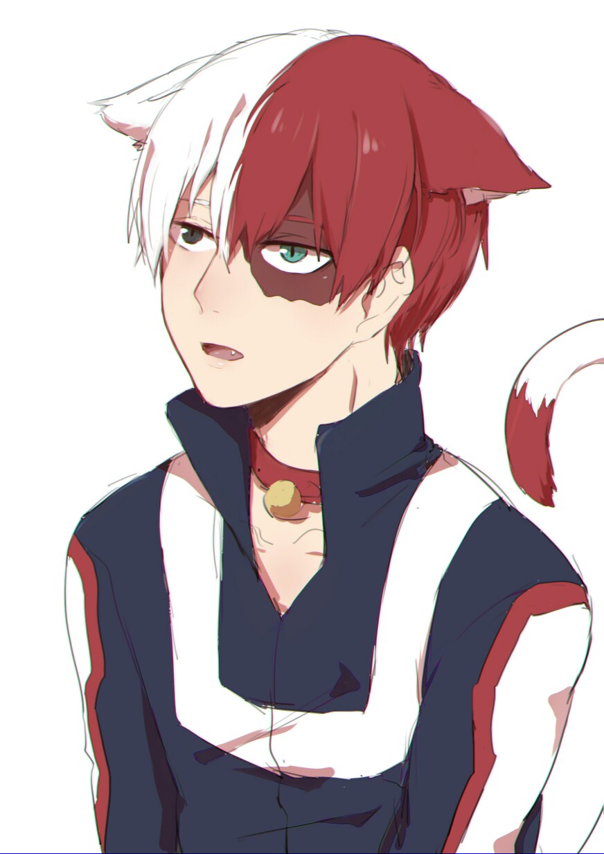 我的英雄学院 轰焦冻 轰总 - 堆糖,美图壁纸兴趣社区