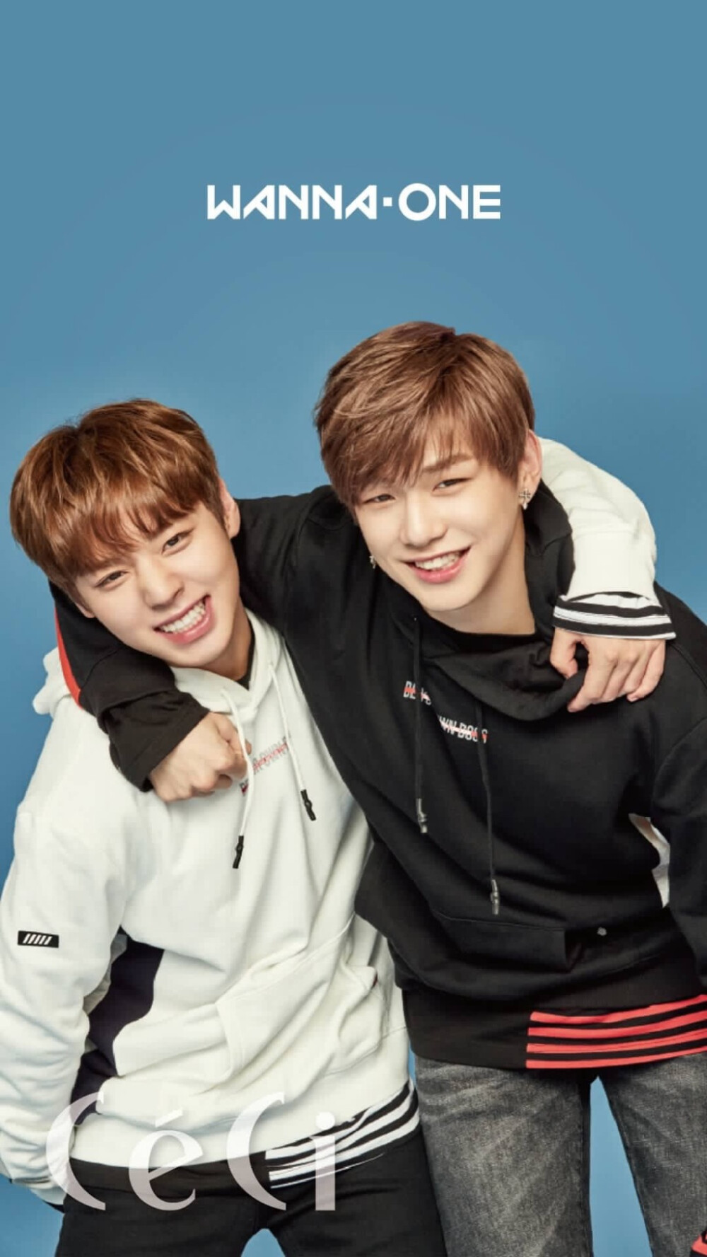 朴志训姜丹尼尔