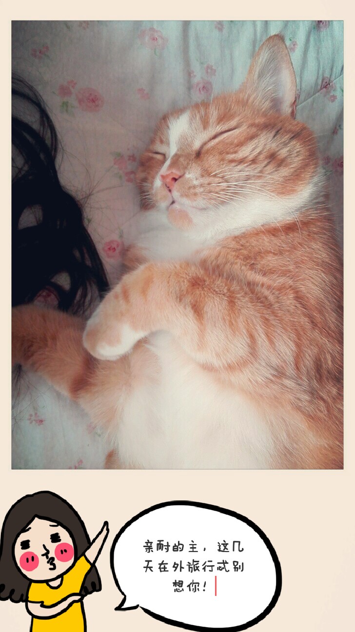 (*╹▽╹*)在我心里你就是最可爱的喵喵