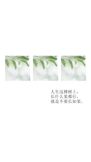 人生这棵树啊…