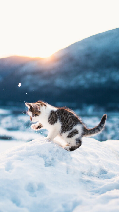 雪是什么味道